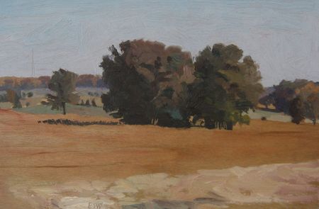 Elaine Wilson, Soybeans Looking East from Ludwig Farm, oil on board.jpg